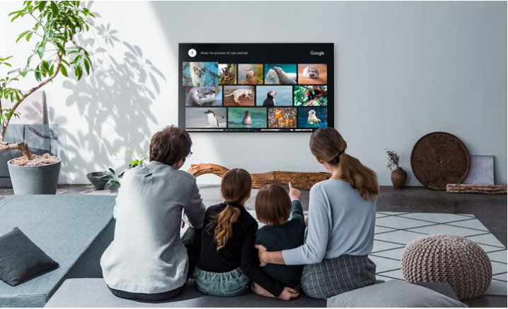 Televize Sony KD-43XG8096 Televize Sony KD-43XG8096