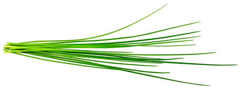 Semínka Click and Grow Pažitka (3 ks) Semínka Click and Grow Pažitka - 3 ks