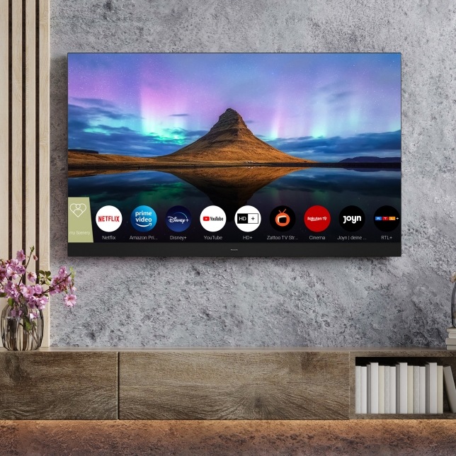 Televize Panasonic TX-55LZ1000E