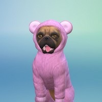 Hra EA PC The Sims 4 - Psi a Kočky