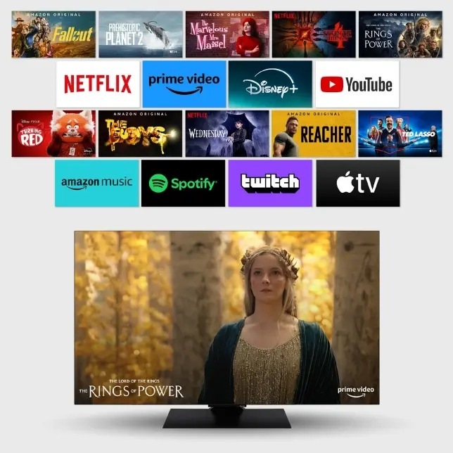 Televize Panasonic TV-55Z80AEZ Panasonic TV-55Z80A