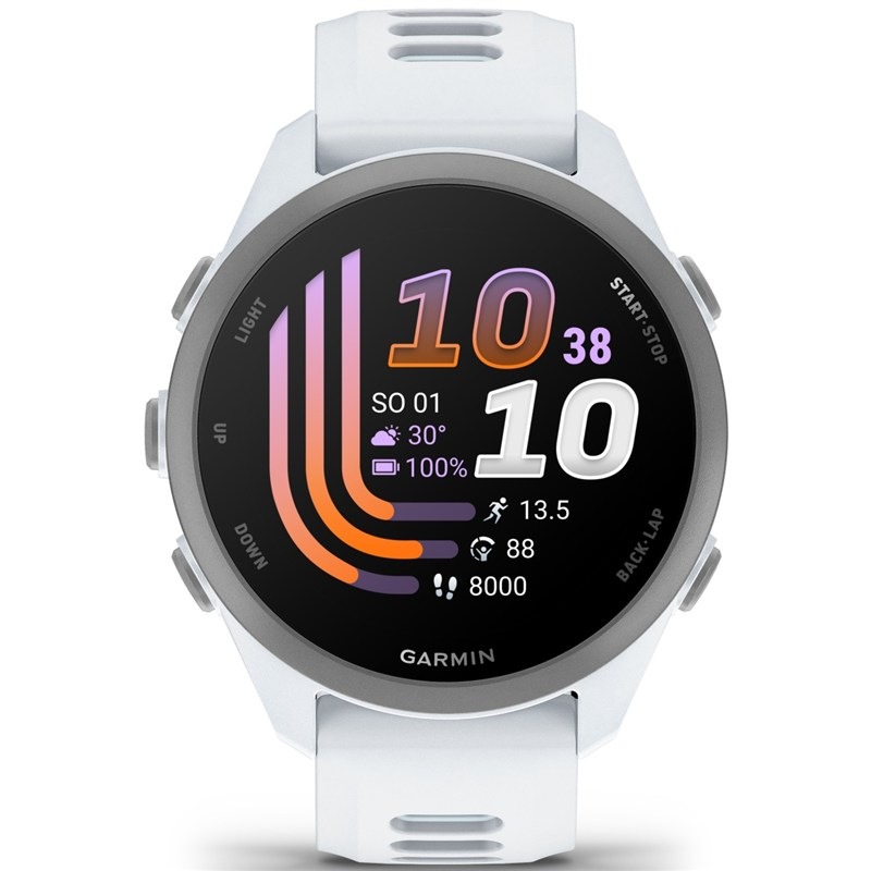 Chytré hodinky Garmin Forerunner 170, šedá/modrá barva