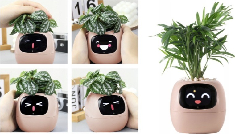 Chytrý květináč Plantsio IVY - růžová