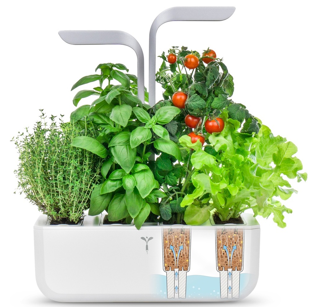 Chytrý květináč Véritable SMART bílý Chytrý květináč Véritable SMART s vypěstovanými bylinkami