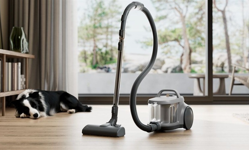 Podlahový vysavač Electrolux 500 EL51A2UG šedý Bezsáčkový vysavače Electrolux EL51A2UG série 500 Animal v obýváku, vlevo leží border kolie