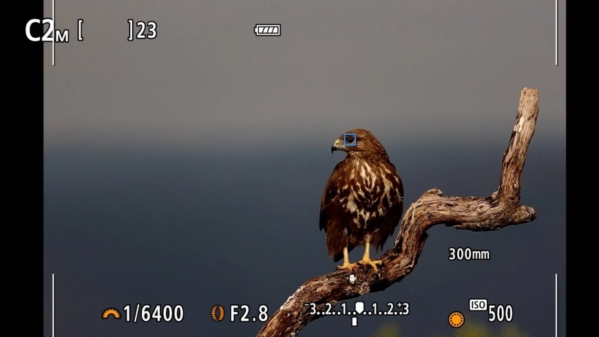 Digitální fotoaparát Canon EOS R7, tělo černý Canon EOS R7, černá