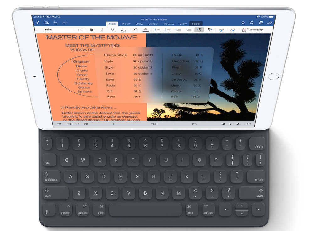 Dotykový tablet Apple iPad Air (2019) Wi-Fi + Cellular 256 GB - Space Gray