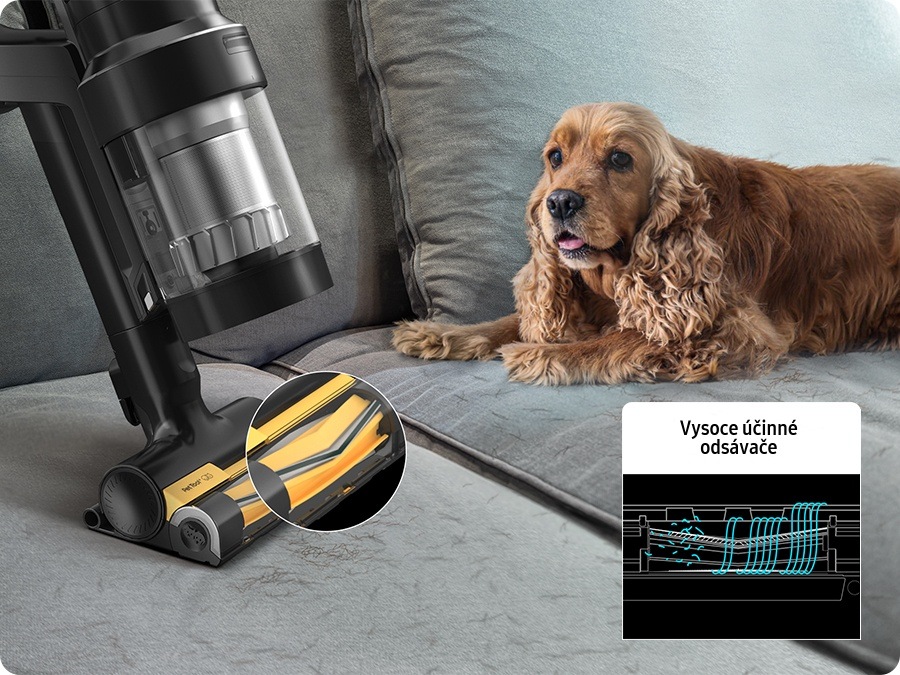 Tyčový vysavač Samsung BESPOKE JET AI VS28C9784QK/GE s nástavcem Pet Tool+ vysává pohovku, na které leží kokršpaněl