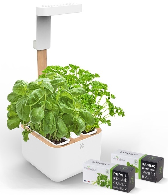 Chytrý květináč Véritable BOTANEO s ukázkou sazenic