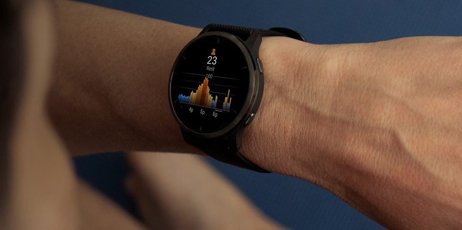 Chytré hodinky Garmin Venu 2 - Slate / Black Band