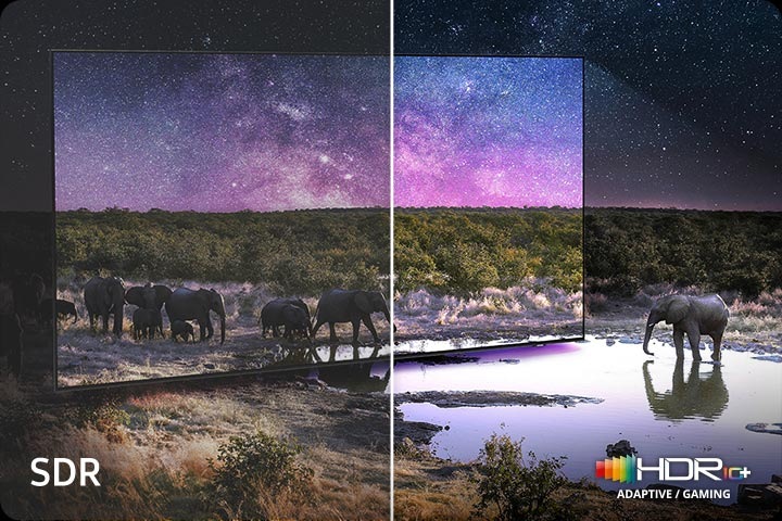 Srovnání obrazu SDR a Neo Quantum HDR+