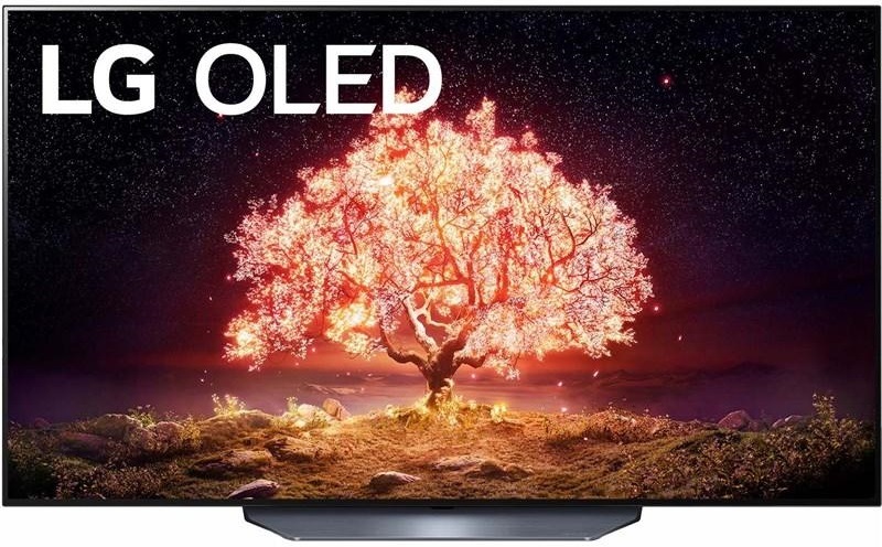 Televize LG OLED65B1