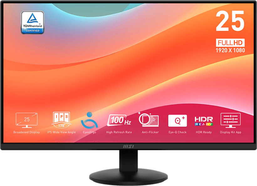 MSI PRO MP252L