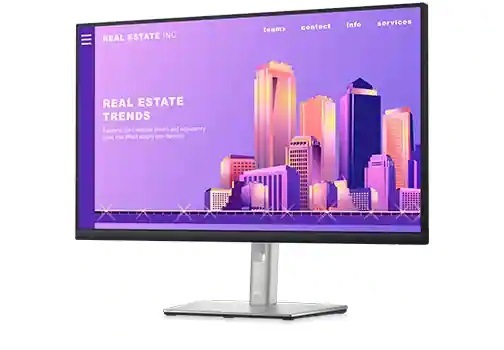 Monitor Dell Professional P2422H černý/stříbrný Dell Professional P2422H