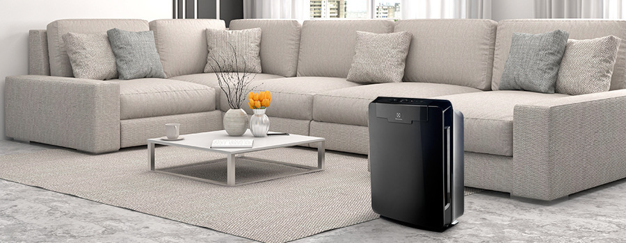 Čistička vzduchu Electrolux EAP450
