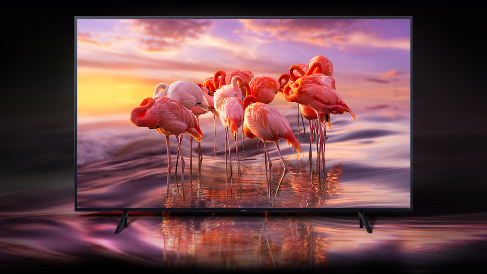 Televize Samsung QE49Q67R Televize Samsung QE49Q67R