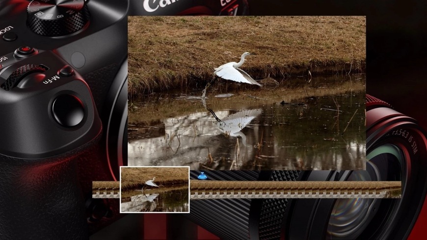 Digitální fotoaparát Canon EOS R10 + RF-S 18-45 IS STM černý Canon EOS R10, černá