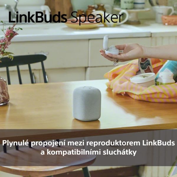 Přenosný reproduktor Sony LinkBuds Speaker černý Přenosný reproduktor Sony LinkBuds Speaker, černý