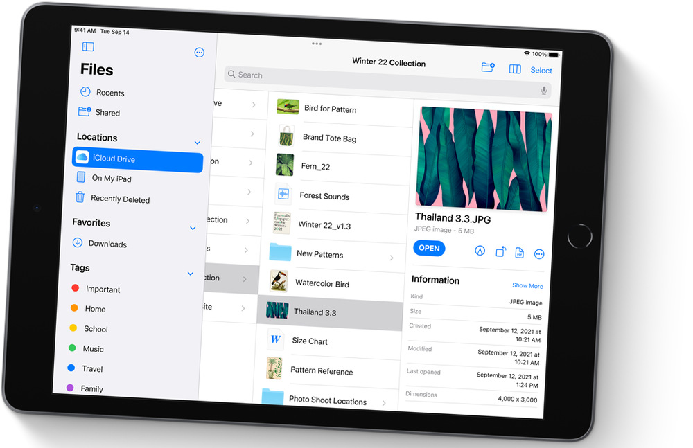 Dotykový tablet Apple iPad 10.2 (2021) Wi-Fi 256GB - Silver