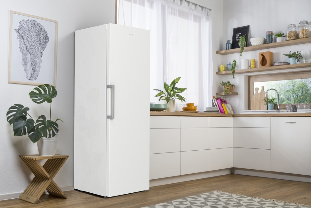 Mraznička Gorenje Essential FN619FEW5 bílá Mraznička Gorenje Essential FN619FEW5 bílá