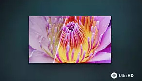 Televize Philips 75PUS8079