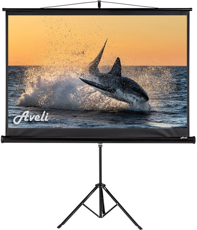 Plátno Aveli stativ 150x94 cm 70" 70", 16:10, stativové - bílé