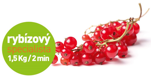 Odšťavňovač Concept SINFONIA LO7065
