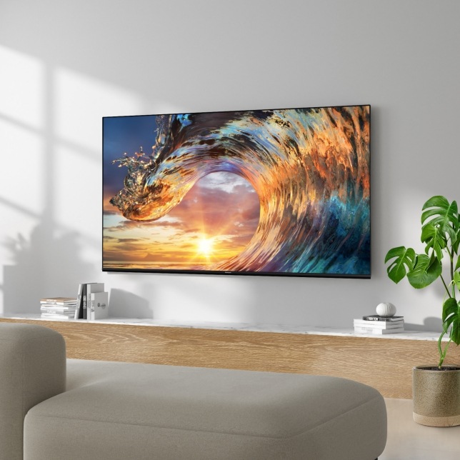 Televize Panasonic TX-55MZ800E Televize Panasonic TX-55MZ800E