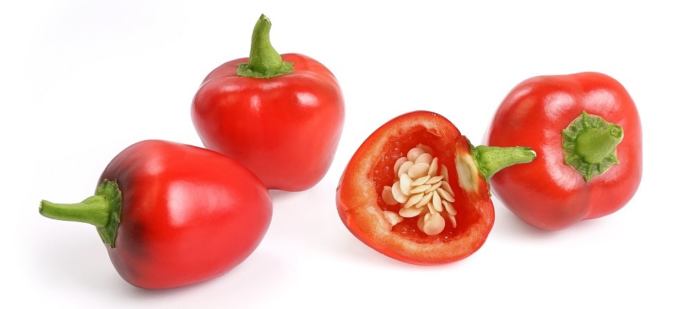 Semínka Véritable Lingot Červená mini paprika - BIO Sklizené Červené mini papriky vypěstované květináči (zahrádce) Véritable