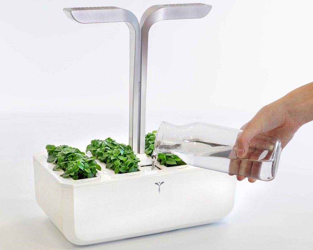 Chytrý květináč Véritable SMART bílý Chytrý květináč Véritable SMART s vypěstovanými bylinkami a ukázkou zalévání