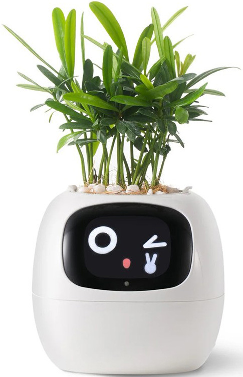 Chytrý květináč Plantsio IVY - bílá
