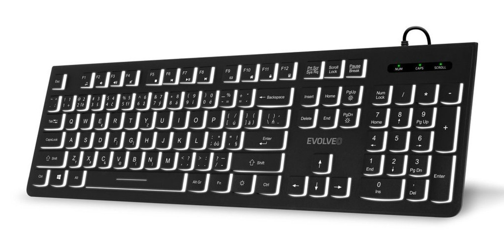 Klávesnice Evolveo K1010, CZ+SK černá Evolveo K1010 CZ/SK