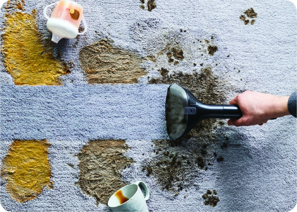 Čistič skvrn Rowenta IN3020F0 Clean It Compact Animal zelený Čištění odolných skvrn z koberce tepovačem Rowenta IN3020F0 Clean It Compact Animal