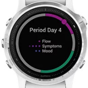 Chytré hodinky Garmin fenix6S Glass černé/stříbrné Chytré hodinky Garmin fenix6S Glass černé/stříbrné