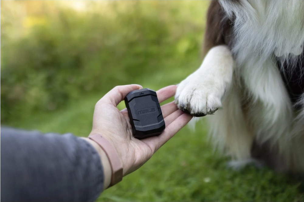 GPS lokátor Mala tracker pro psy černý Jednotlivé režimy jsou navrženy přesně pro vašeho psa. Můžete vybrat třeba Živé sledování, které využijete, když se váš mazlíček zatoulá.