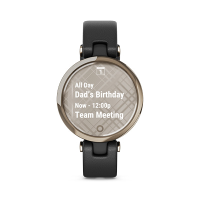 Chytré hodinky Garmin Lily Classic Cream Gold/Black Leather Band