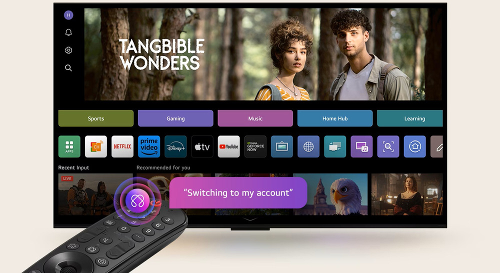 Televize LG 55QNED85A