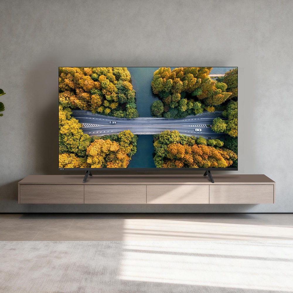 Televize Metz 65MNH7000Z Potřebovat k tomu budete jen svůj hlas! Případně můžete využít klasický dálkový ovladač.