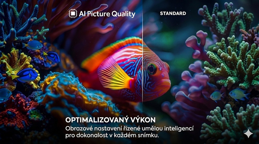 ryba mezi korály, obraz je rozdělen napůl, aby vyniklo ai vylepšení obrazu