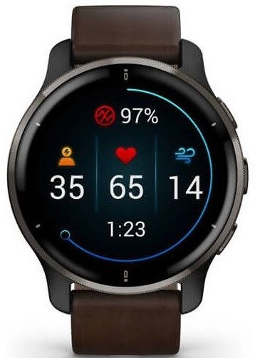Chytré hodinky Garmin Venu 2 Plus - Slate/ Brown Leather Band