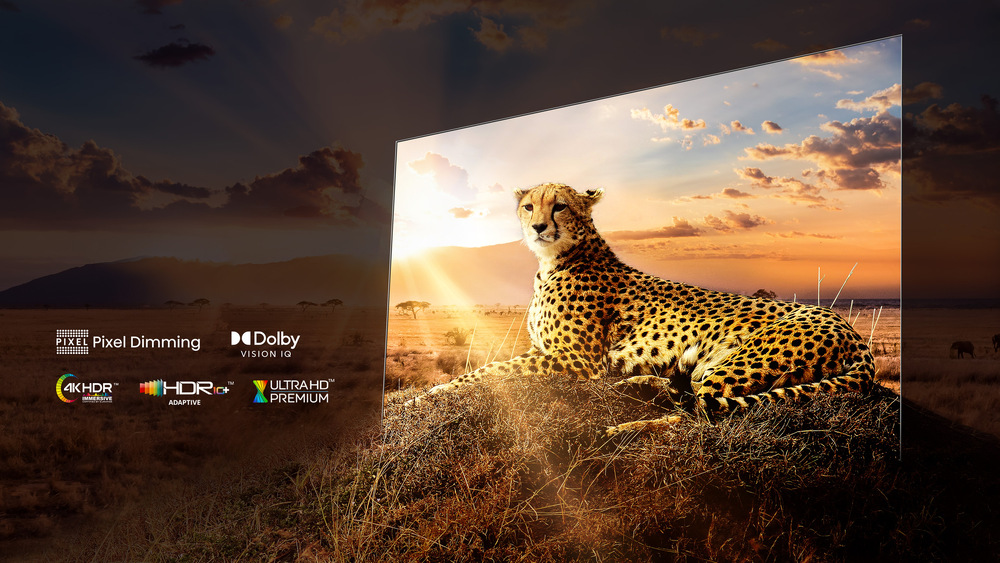 Televize Hisense 55A85H