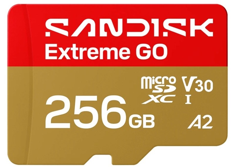 Paměťová karta SANDISK Extreme GO microSD 256GB