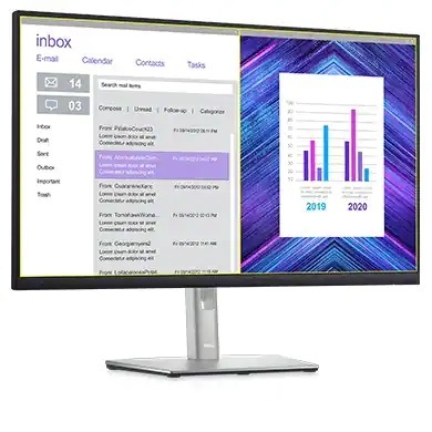 Monitor Dell Professional P2422H černý/stříbrný Dell Professional P2422H