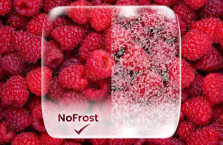 detail na zmrazene maliny, díky funkci NoFrost nejsou pokryte námrazou