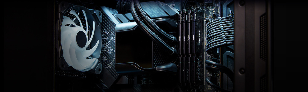 DIMM Kingston FURY Beast Black EXPO 16 GB