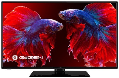 Televize GoGEN TVF 43P452T