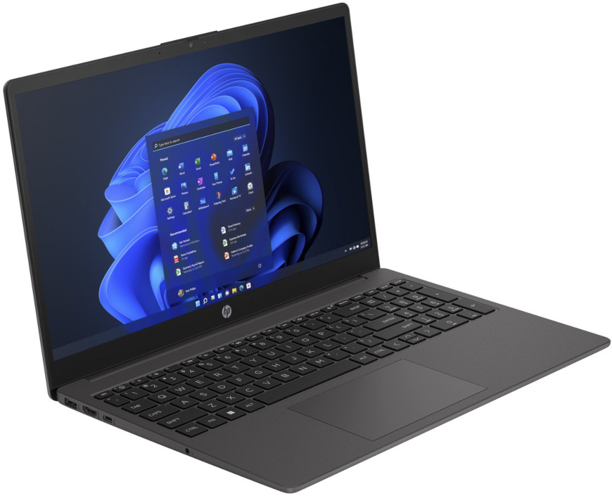 HP 255 G10 (AL0G8AT), šedá