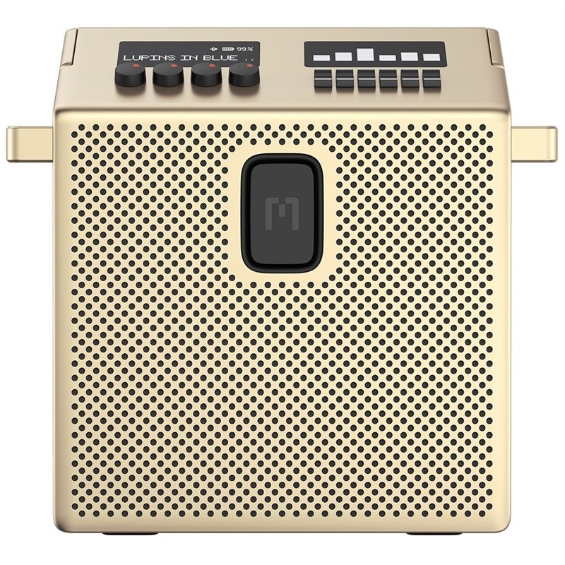 Přenosný reproduktor Mondo Speaker Medium, Brass barva
