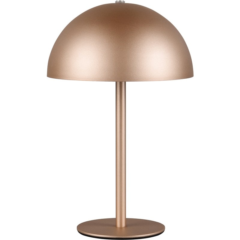 Stolní lampička Reality MUNOZ, LED, hnědá