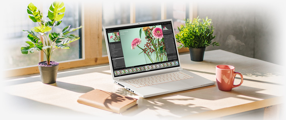 Notebook Acer ConceptD 3 Pro (CN315-72P-7061) bílý Acer ConceptD 3 Pro (CN315-72P-7061)